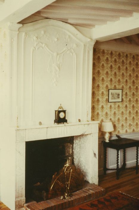 Maison dite Château de la Bilherie : 1er étage, chambre n°3, cheminée, vue générale