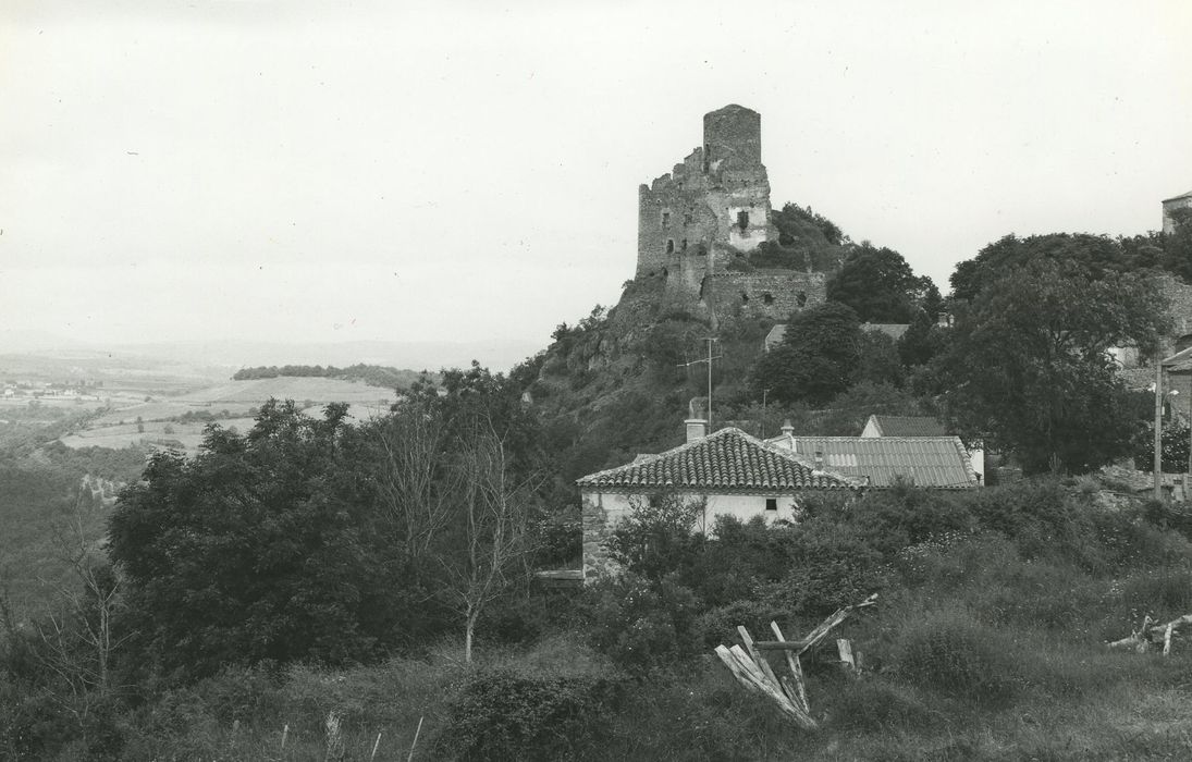 Château de Léotoing : Vue générale des ruines dans leur environnement depuis l’Est