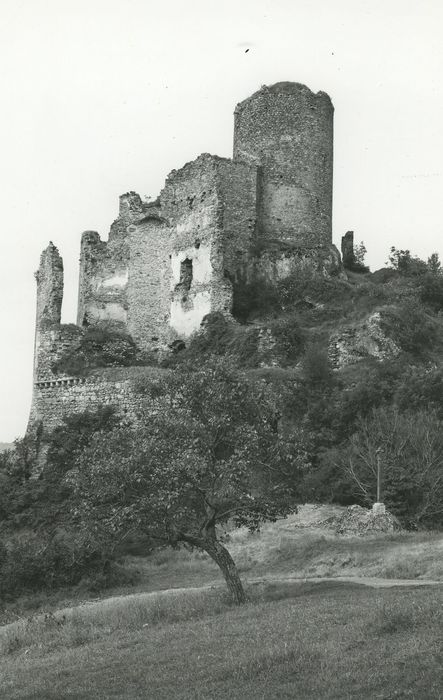 Château de Léotoing : Vue générale des ruines dans leur environnement depuis l’Est