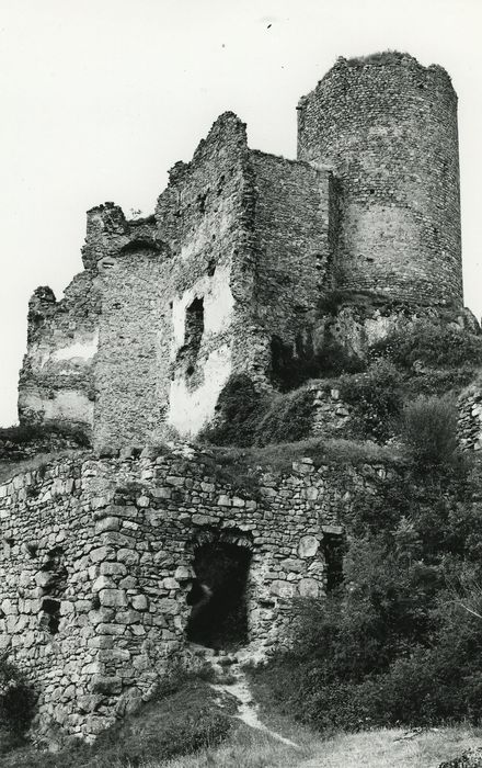 Château de Léotoing : Vue générale des ruines, ensemble est