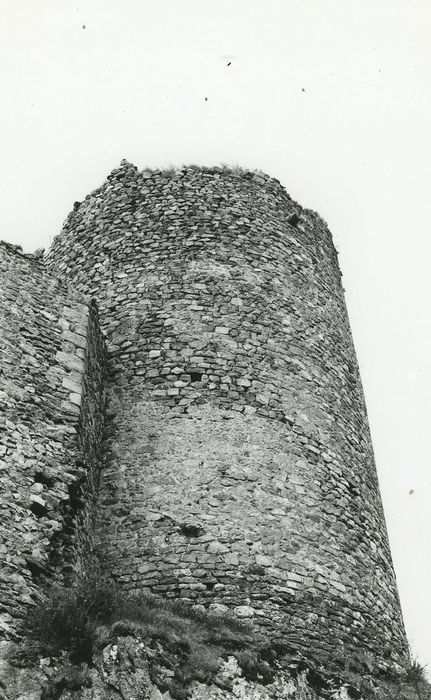 Château de Léotoing : Donjon, vue générale