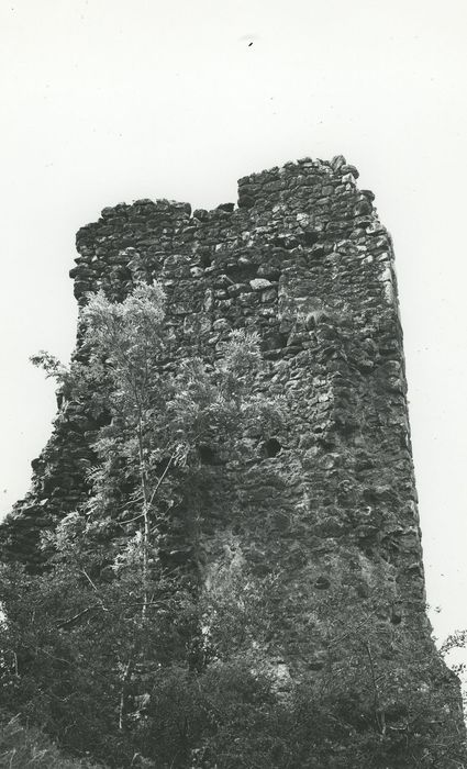 Château de Léotoing : Vue partielle des ruines, chemise du donjon