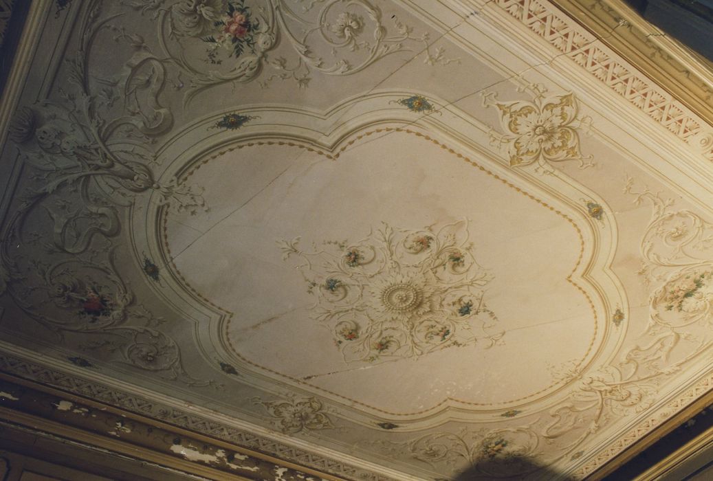 Château de Védrines : Rez-de-chaussée, petit salon, vue générale du plafond