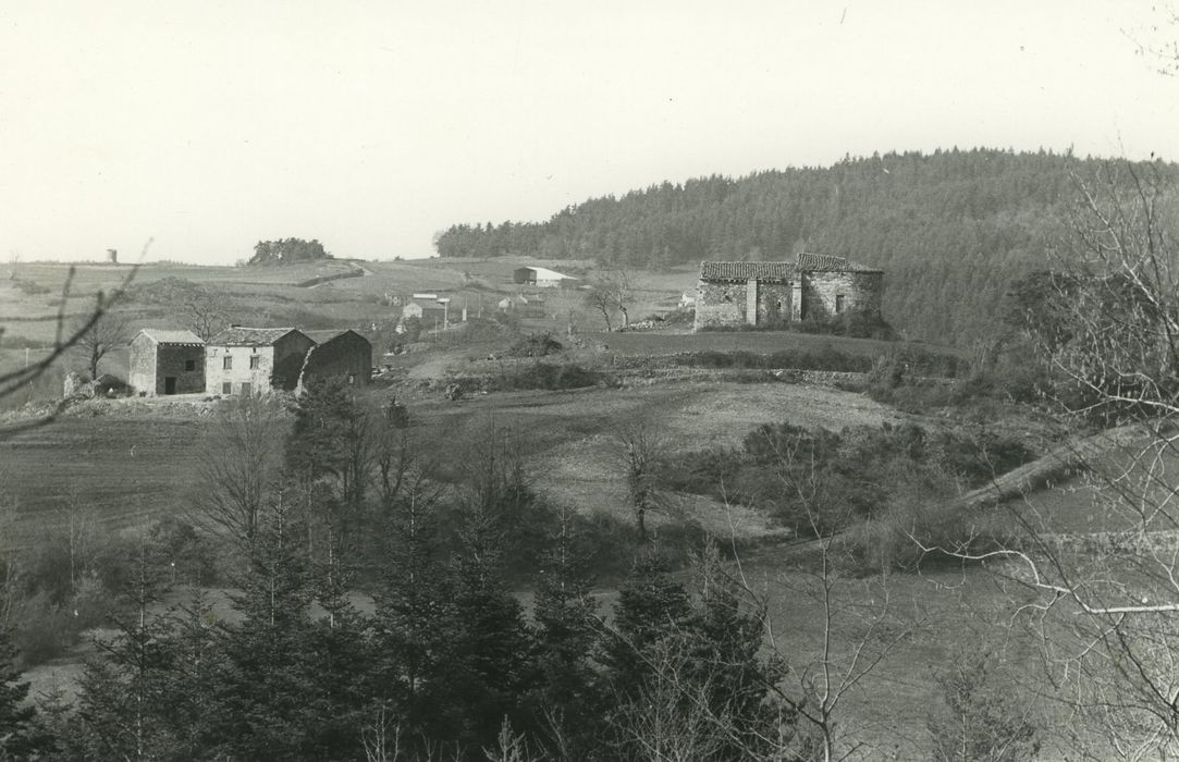 Ancienne église Sainte-Foi-de-la-Brousse : Vue générale de l’église dans son environnement depuis le Sud