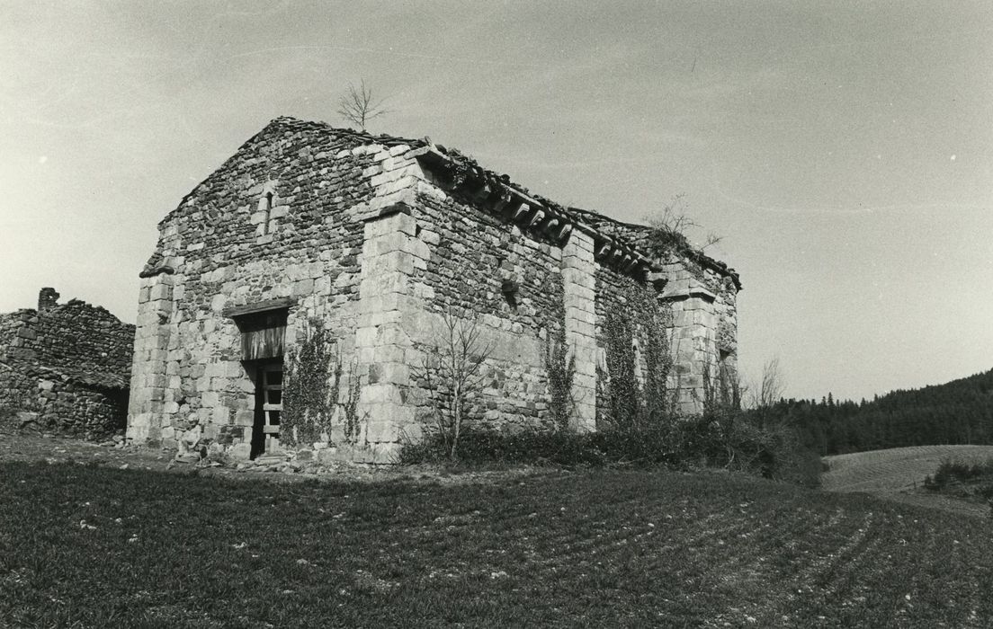 Ancienne église Sainte-Foi-de-la-Brousse : Ensemble sud-ouest, vue générale