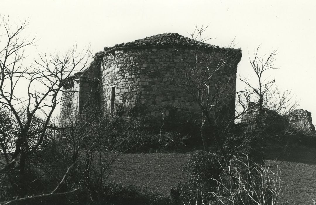 Ancienne église Sainte-Foi-de-la-Brousse : Chevet, vue générale