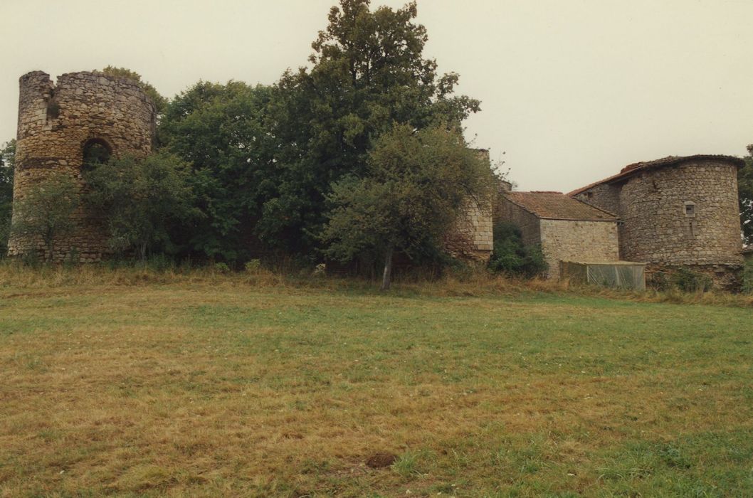 Château fort de Chassignolles : Ensemble ouest, vue partielle