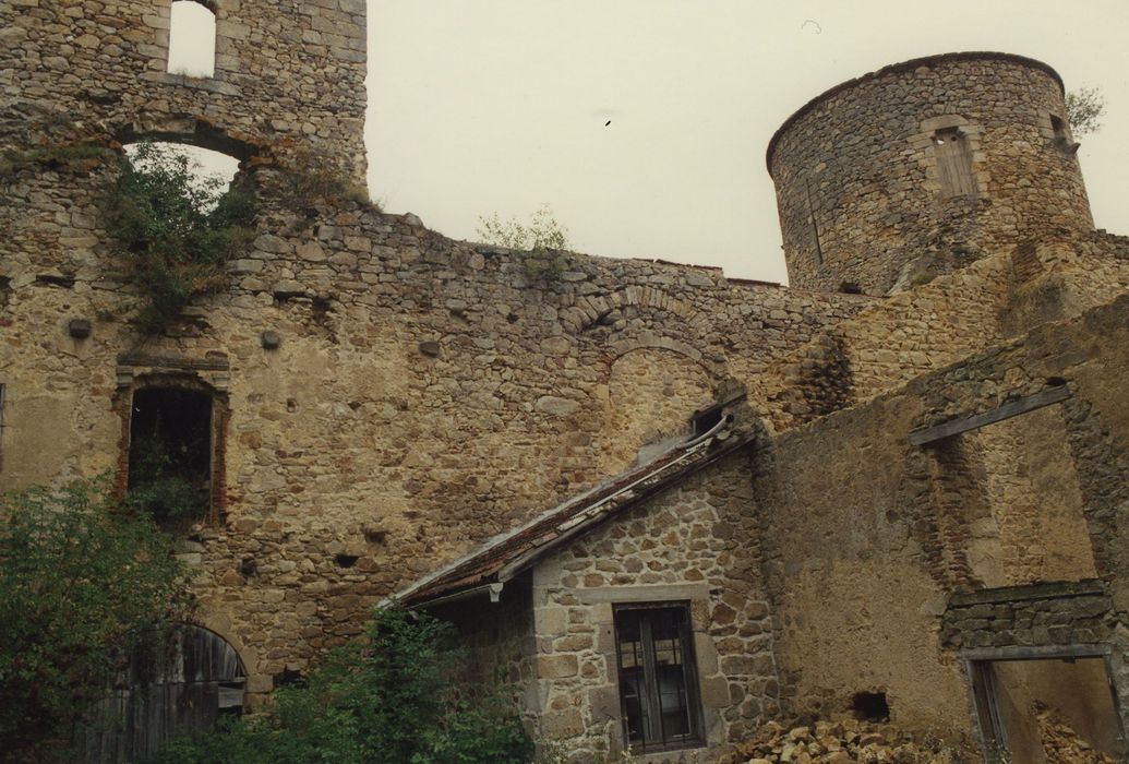 Château fort de Chassignolles : Courtine est, façade ouest, vue partielle