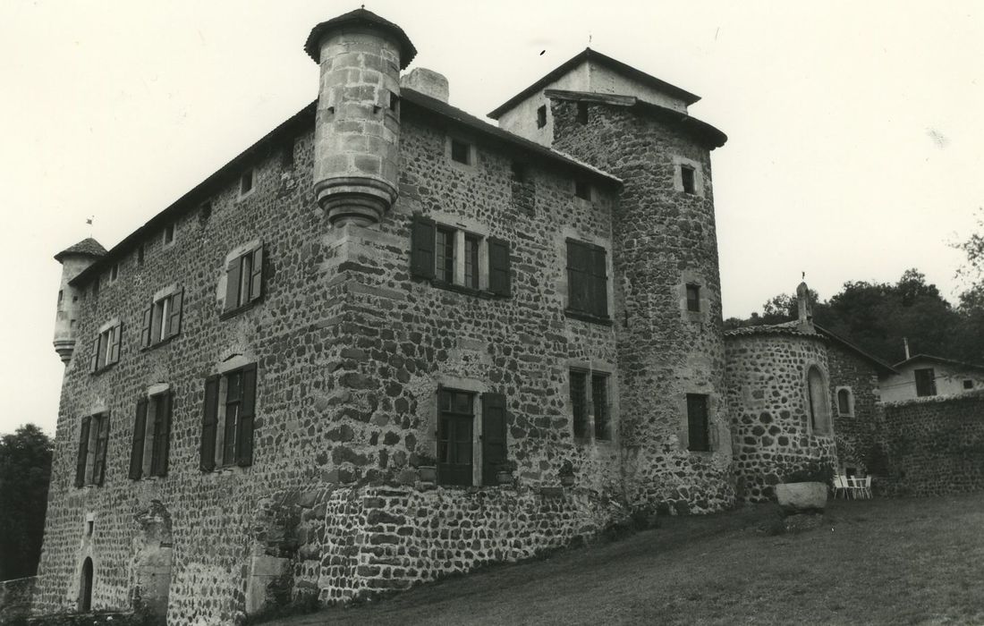 Château de la Tour-Daniel : Ensemble nord-est, vue générale