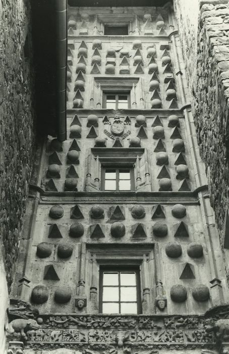 Château de la Tour-Daniel : Tourelle d’escalier, façade nord, vue partielle