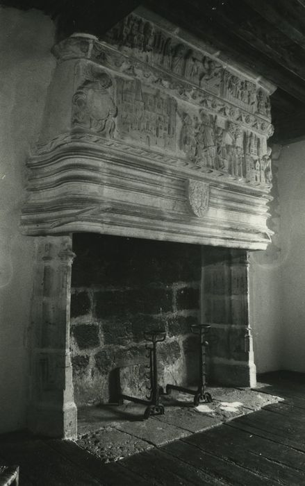 Château de la Tour-Daniel : 1er étage, chambre d’honneur, cheminée monumentale, vue générale