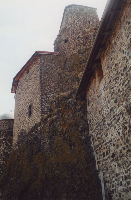 Château de Gendriac : Logis supérieur et donjon, ensemble nord-est, vue générale