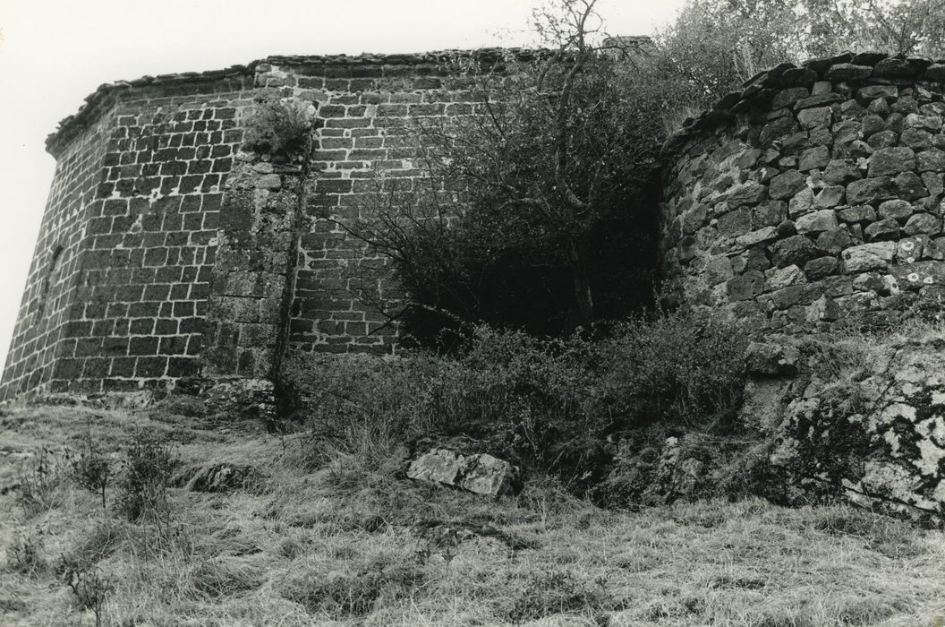 Chapelle Saint-Blaise-de-Jonzac : Façade latérale nord, vue partielle