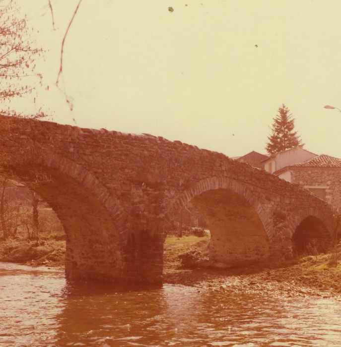 Pont sur la Sénouire, dit Pont Vieux : Elévation est, vue partielle