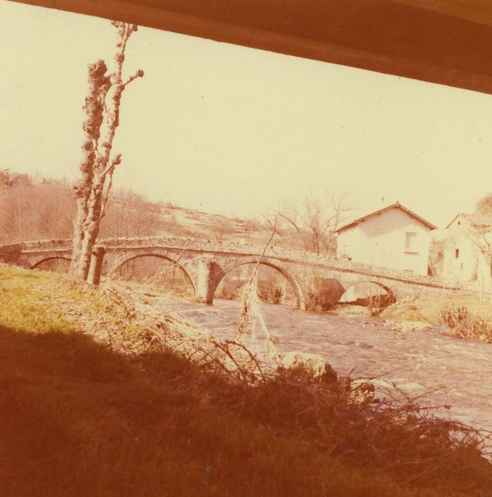 Pont sur la Sénouire, dit Pont Vieux : Vue générale du pont depuis l’Est