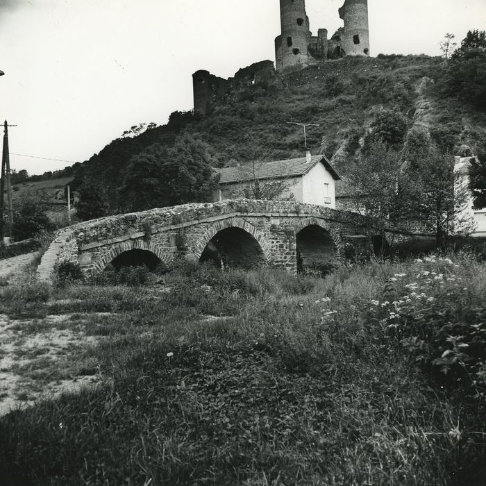 Pont sur la Sénouire, dit Pont Vieux : Vue générale du pont dans son environnement