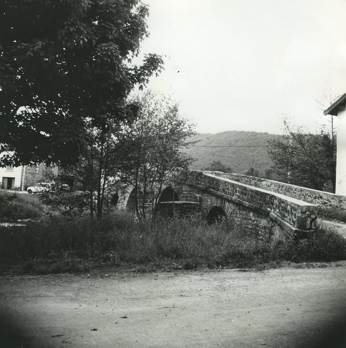 Pont sur la Sénouire, dit Pont Vieux : Vue partielle du pont depuis la berge nord