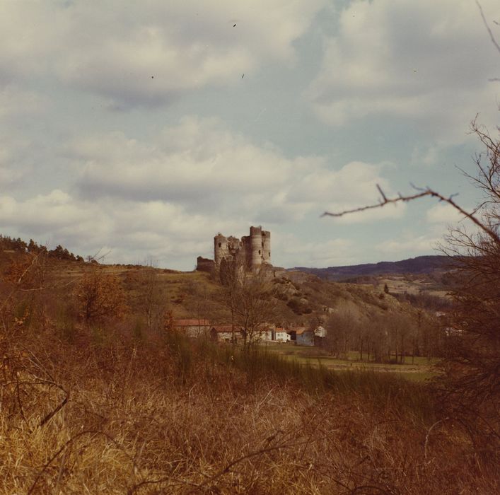 Ruines du Château fort : Vue générale du château dans son environnement depuis l’Ouest