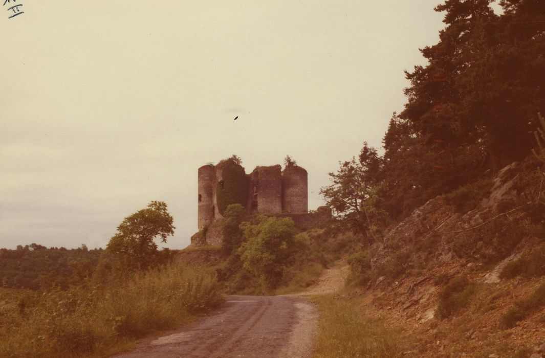 Ruines du Château fort : Vue générale du château dans son environnement depuis le Nord