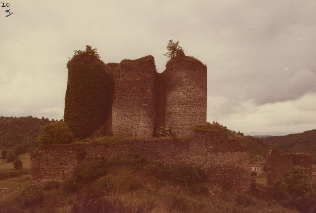 Ruines du Château fort : Ensemble nord, vue générale