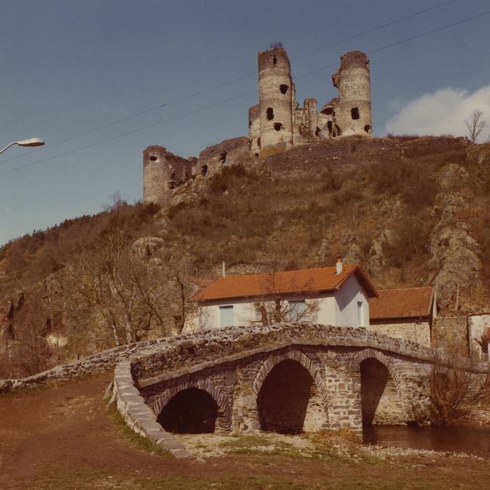 Ruines du Château fort : Vue générale du château dans son environnement depuis le Sud