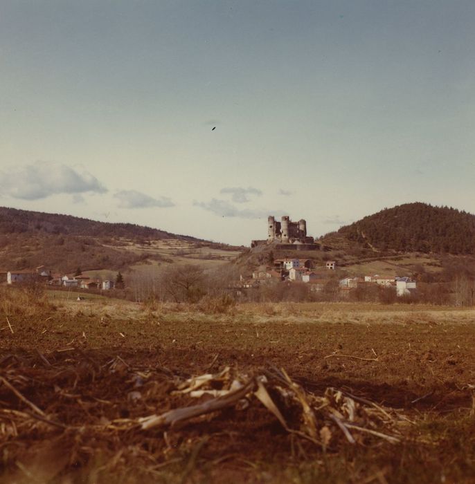 Ruines du Château fort : Vue générale du château dans son environnement depuis le Sud-Est