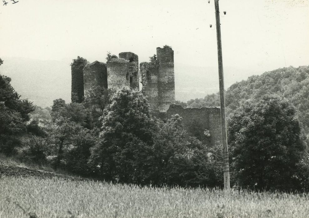 Ruines du Château fort : Ensemble nord-ouest, vue générale