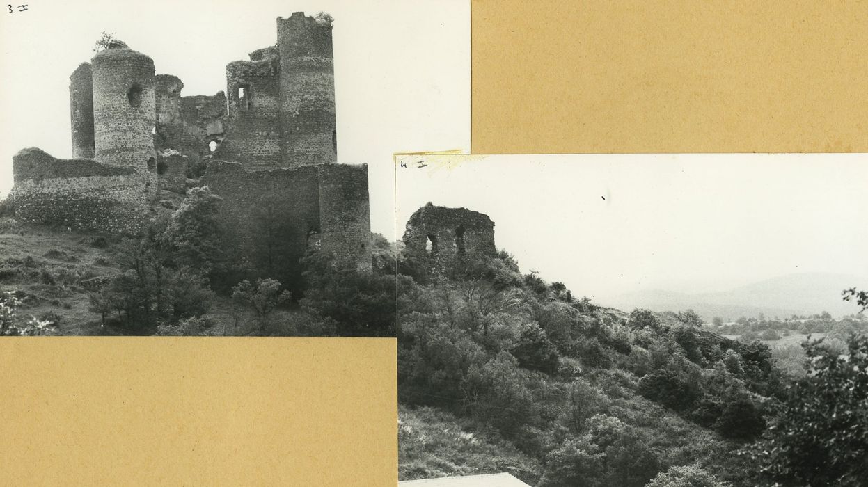 Ruines du Château fort : Ensemble ouest, vue générale