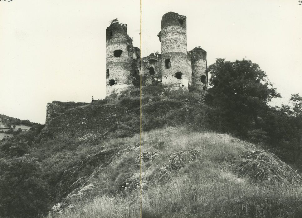 Ruines du Château fort : Ensemble sud-est, vue générale