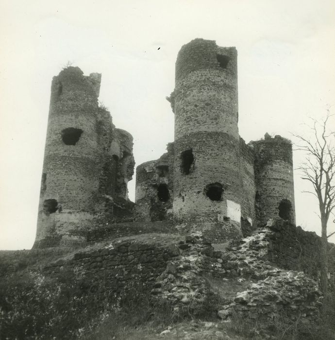 Ruines du Château fort : Ensemble sud-est, vue générale