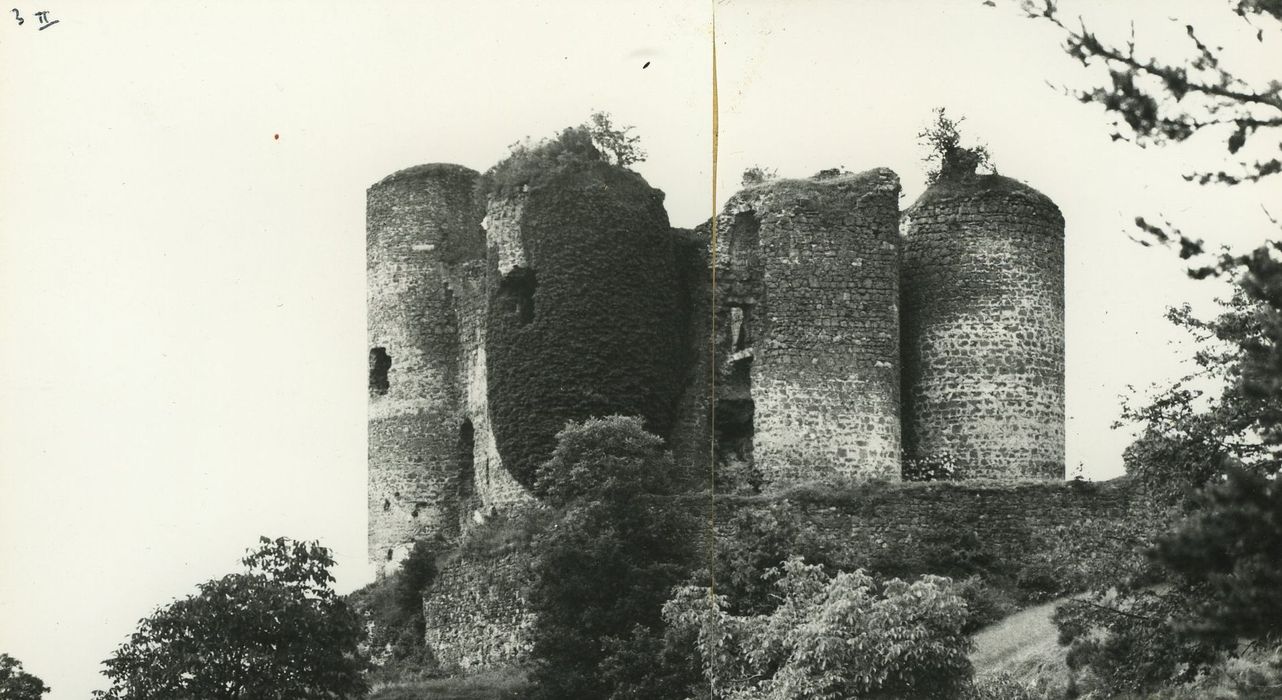 Ruines du Château fort : Ensemble nord-est, vue générale