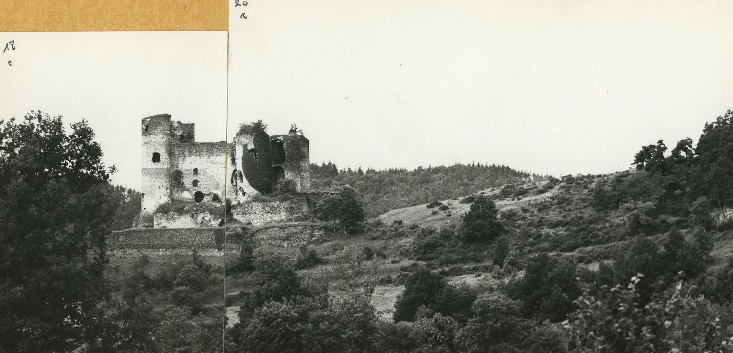 Ruines du Château fort : Vue générale du château dans son environnement depuis le Nord-Est