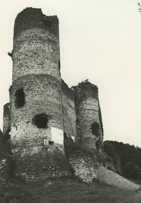 Ruines du Château fort : Tour sud-est, vue générale