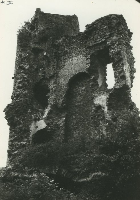 Ruines du Château fort : Mur ouest depuis l’intérieur du château, vue générale