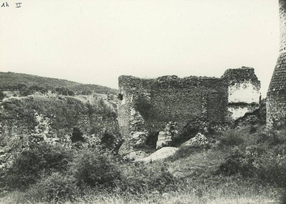 Ruines du Château fort : Enceinte extérieure ouest, vue partielle