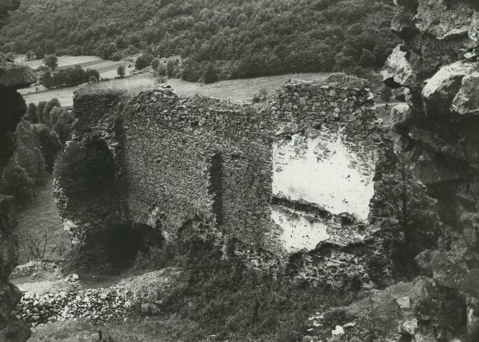 Ruines du Château fort : Enceinte extérieure ouest, vue partielle