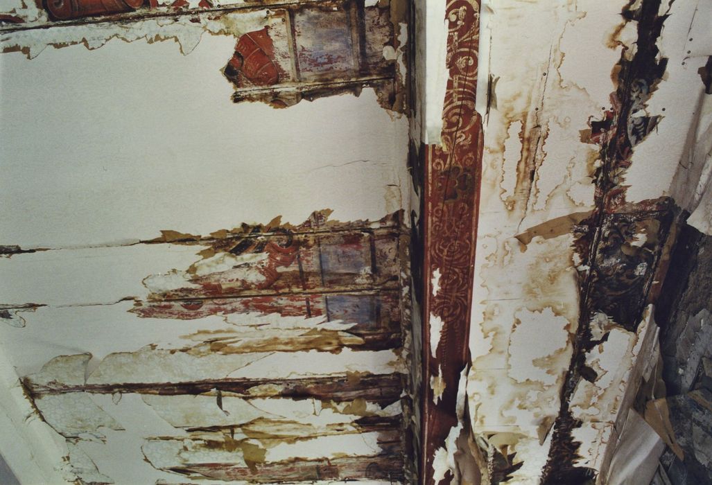 Château de la Beaume : 1er étage, chambre dite « Mercure », plafond peint, vue partielle