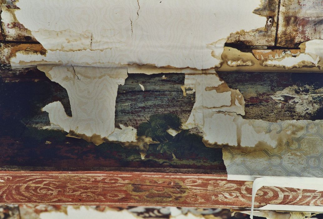 Château de la Beaume : 1er étage, chambre dite « Mercure », plafond peint, détail