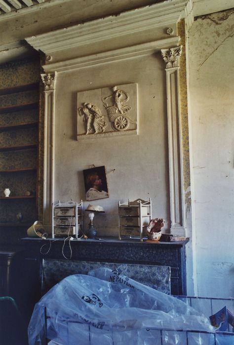 Château de la Beaume : 1er étage, chambre dite « Junon », cheminée, vue partielle