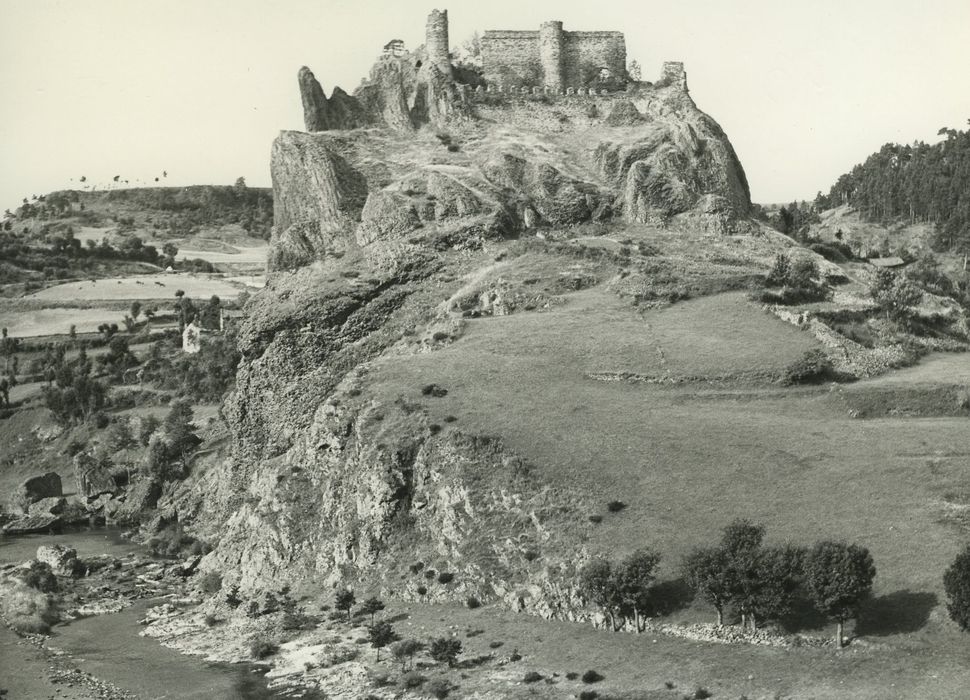 Restes du Château fort : Vue générale des ruines dans leur environnement depuis le Nord-Est