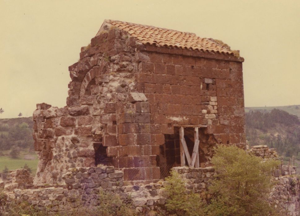 Restes du Château fort : Chapelle, ensemble nord-est, vue générale