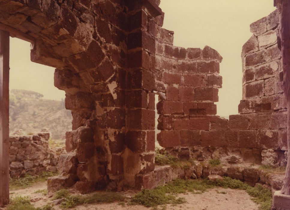 Restes du Château fort : Chapelle, abside, vue générale