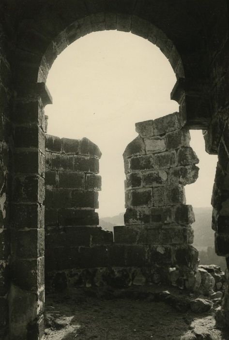 Restes du Château fort : Chapelle, abside, vue générale