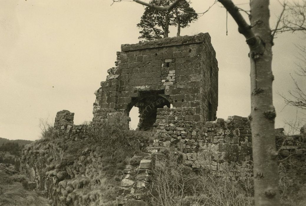 Restes du Château fort : Chapelle, élévation nord, vue générale