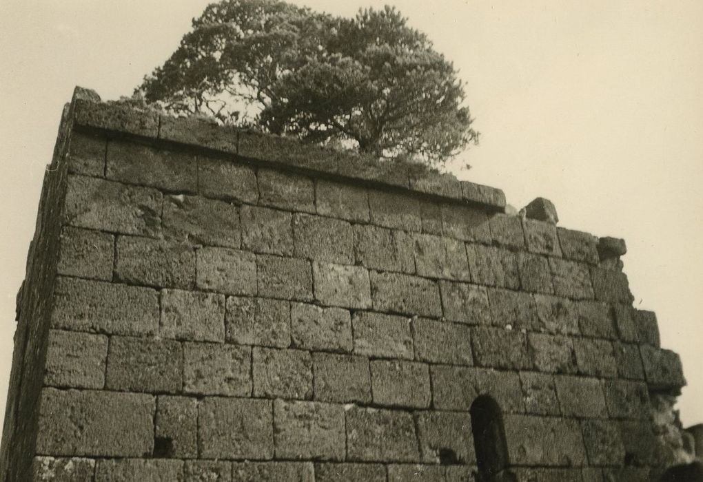 Restes du Château fort : Chapelle, mur sud, détail des maçonneries