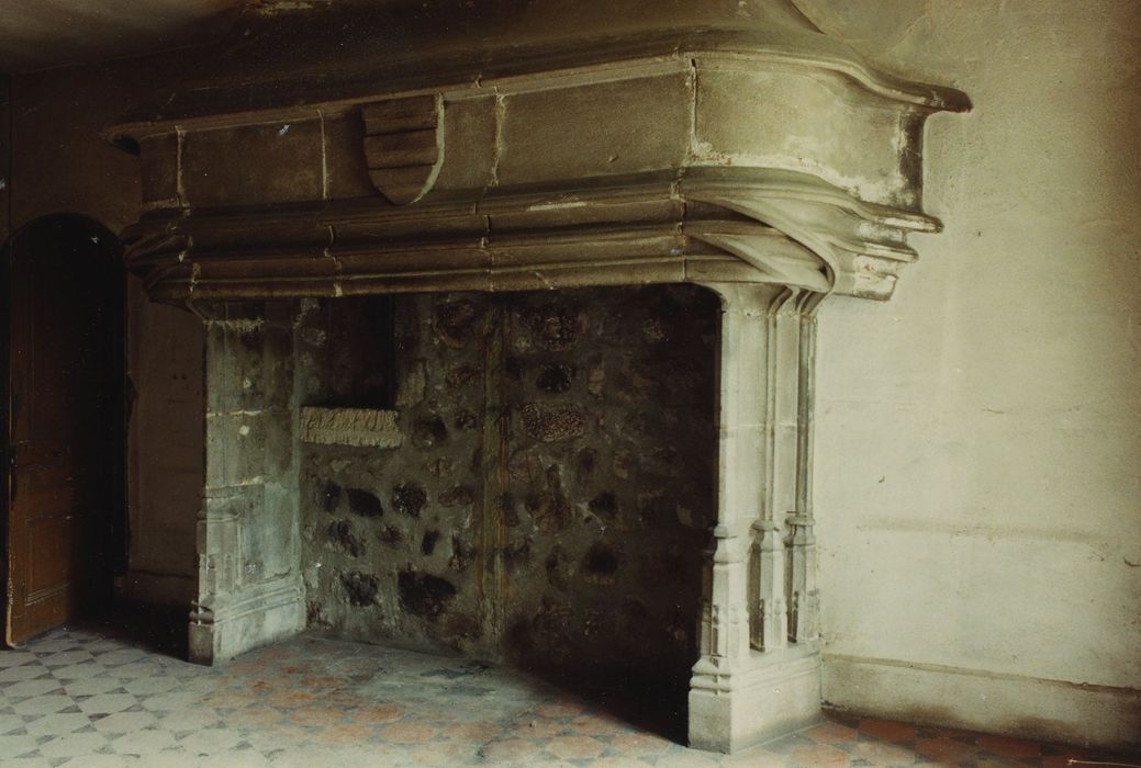 Château d’Aurec : Cheminée monumentale non localisée, vue générale