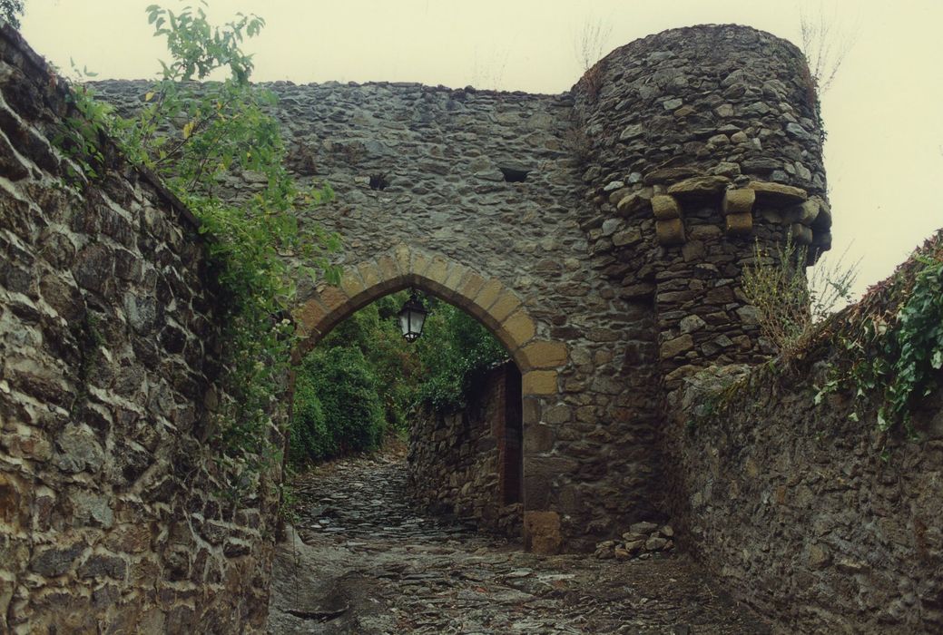 Porte du Brugelet : Elévation ouest, vue générale