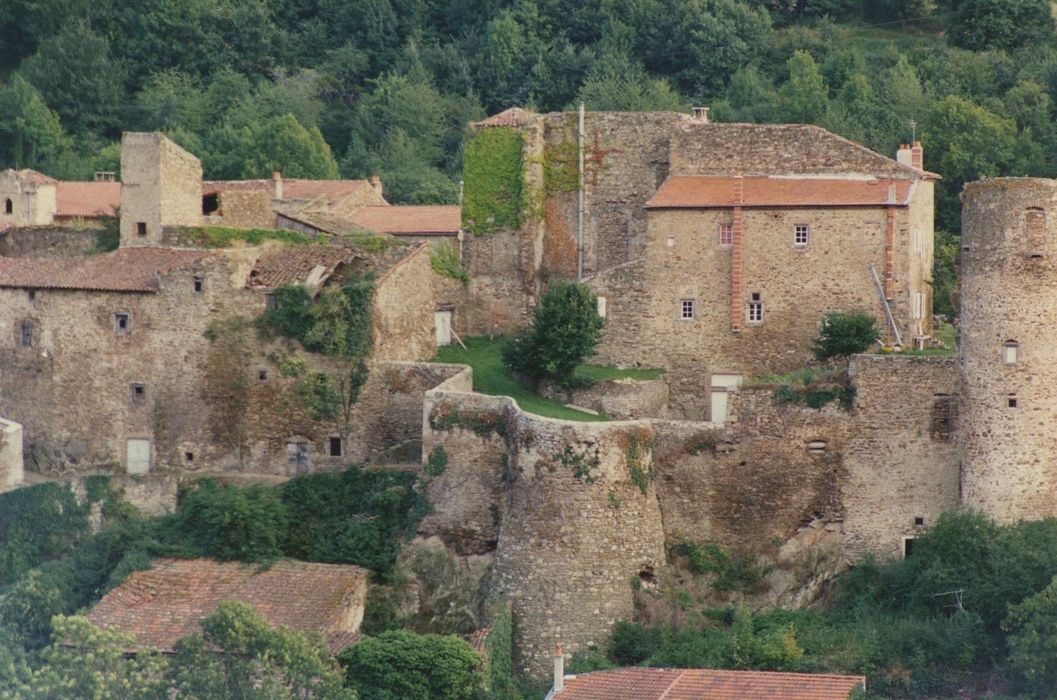 Château et fortifications : Vue générale du château dans son environnement depuis le Nord