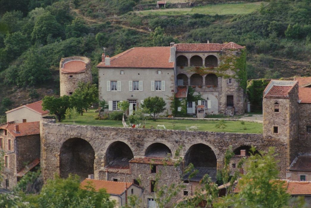 Château et fortifications : Vue générale du château dans son environnement depuis le Sud