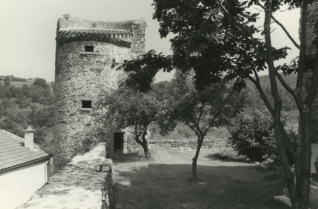 Château et fortifications : Tour nord-ouest, vue générale